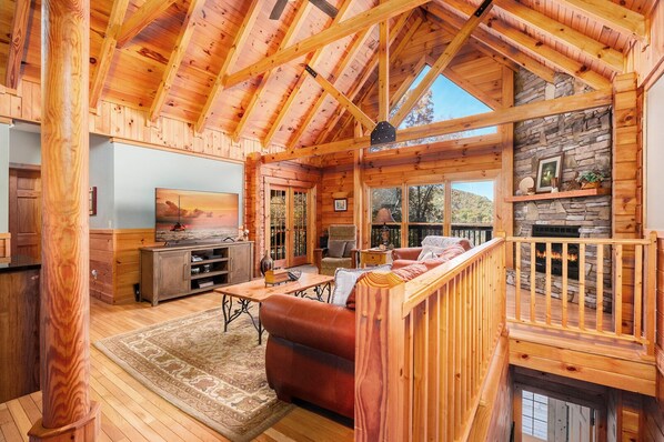 TV, fireplace, video games, offices