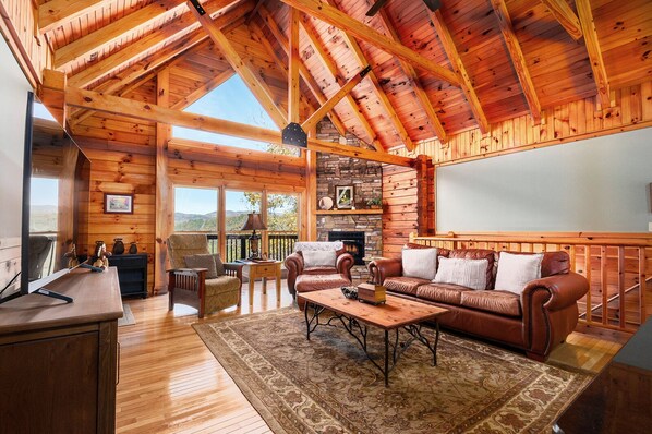 TV, fireplace, video games, offices