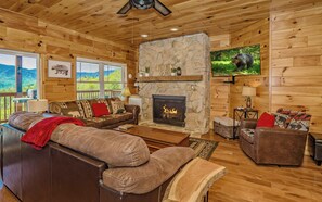 TV, fireplace, video games, DVD player