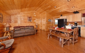 TV, fireplace, video games, DVD player