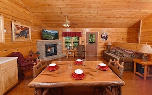 TV, fireplace, video games, DVD player