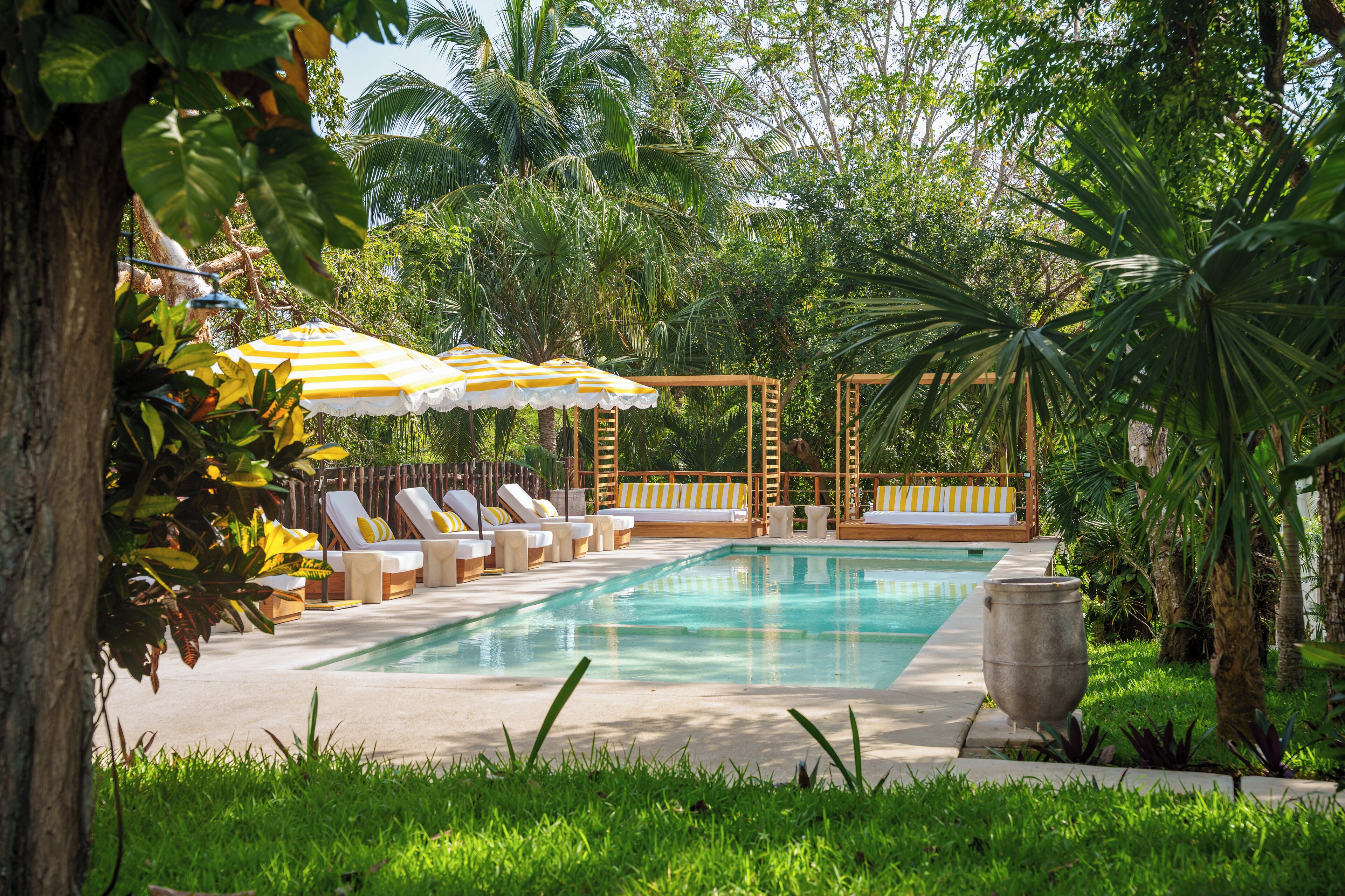 Alberca al aire libre, sombrillas en la alberca y camastros 