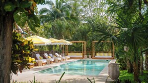 Zona de piscina con sillones de descanso y sombrillas, rodeada de abundante vegetación.