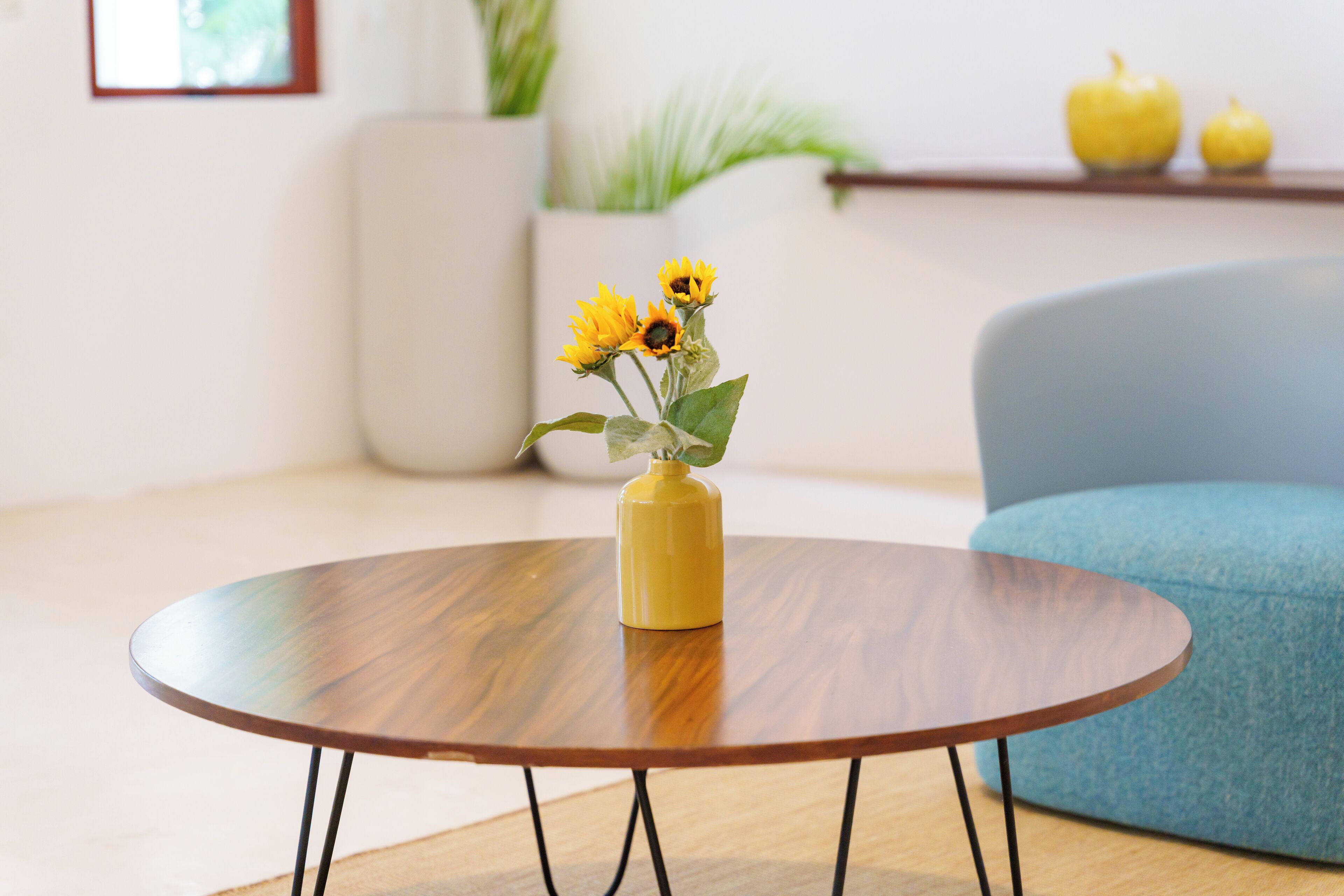 Foto - Mikasa Bacalar Hotel Boutique, Lagoon Front