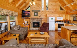 TV, fireplace, DVD player