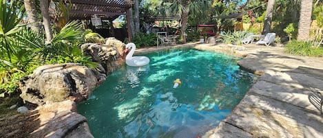 Outdoor pool, a heated pool