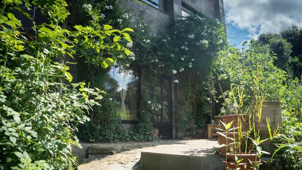 A stone pathway leading to a door surrounded by lush greenery and potted plants. - Bright duplex apartment, surrounded by pine forest, pets welcome (Torrellas de llobregat)