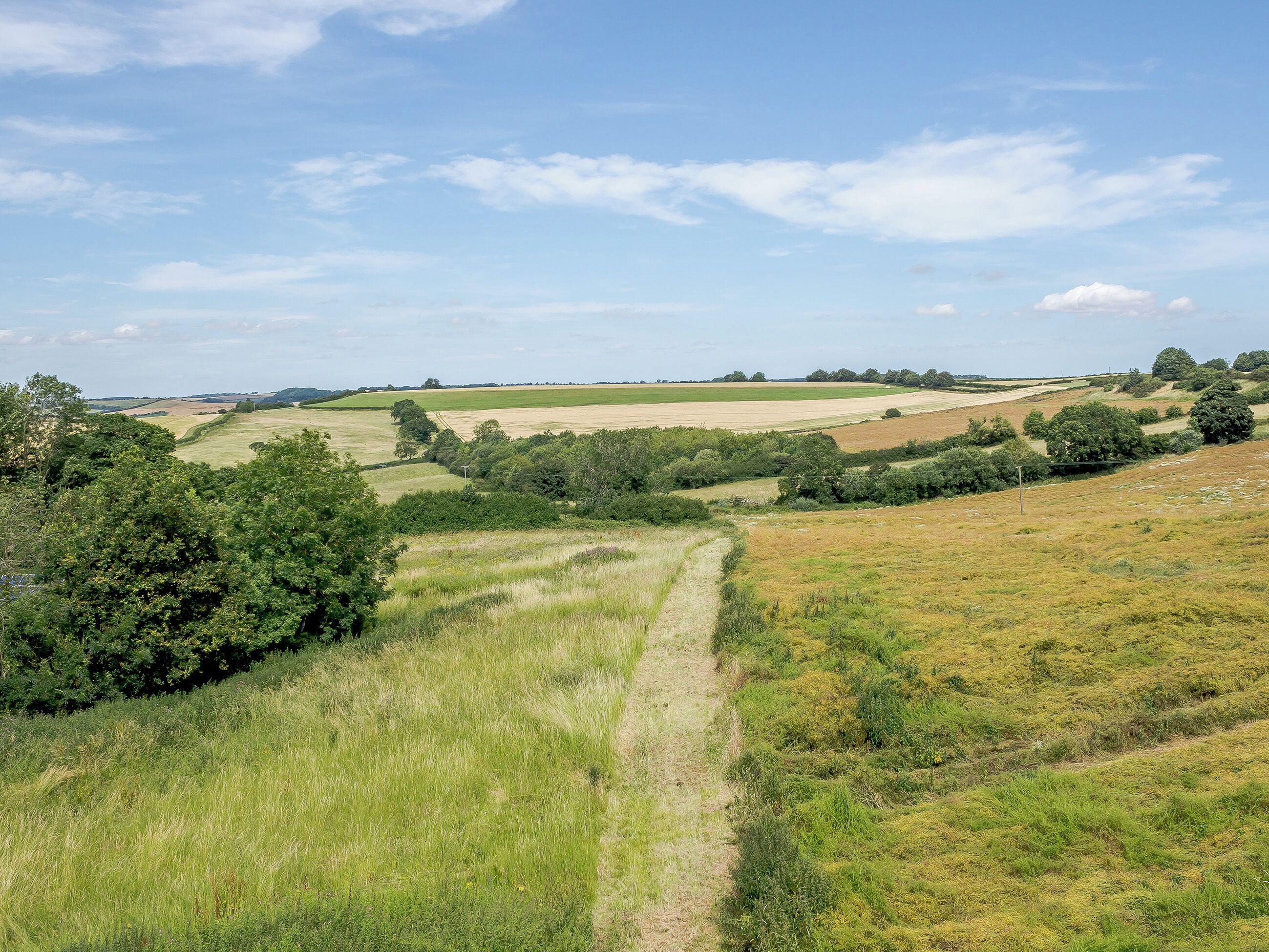 Un paysage rural caractérisé par des collines douces, un chemin de terre et des arbres dispersés.