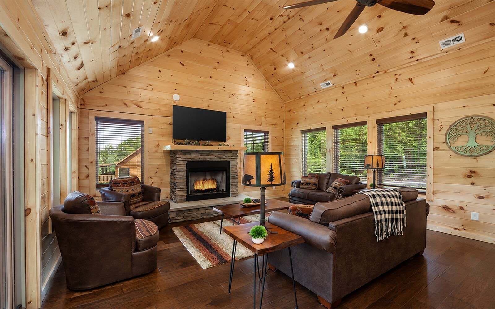 TV, fireplace, video games, DVD player