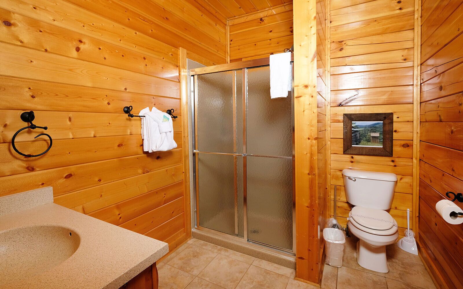Baño de cabaña de madera con ducha, inodoro y lavamanos.