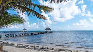 A beach with a wooden pier extending into the sea, two thatched-roof structures on the pier, and a palm tree in the foreground. - Luxury Villa In A Private Beachfront Oasis, W/ Tennis, Pickleball, Dock/ Pool! (San Pedro)