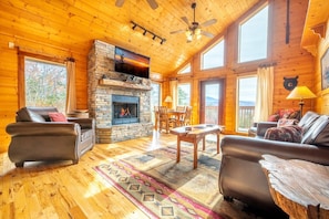 TV, fireplace, video games, DVD player