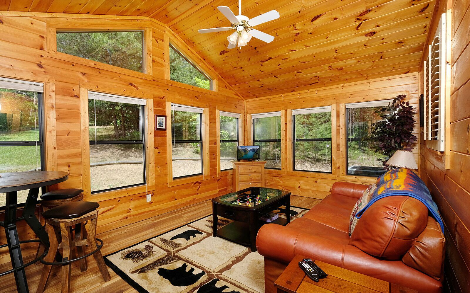 TV, fireplace, DVD player, foosball