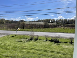 Ländliche Landschaft mit einer Straße, grünen Feldern und Bäumen im Hintergrund.