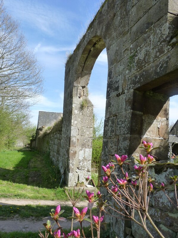 Property grounds - Le Grand Gîte du Domaine de la Boderie (Sainte-Honorine-la-Chardonne)