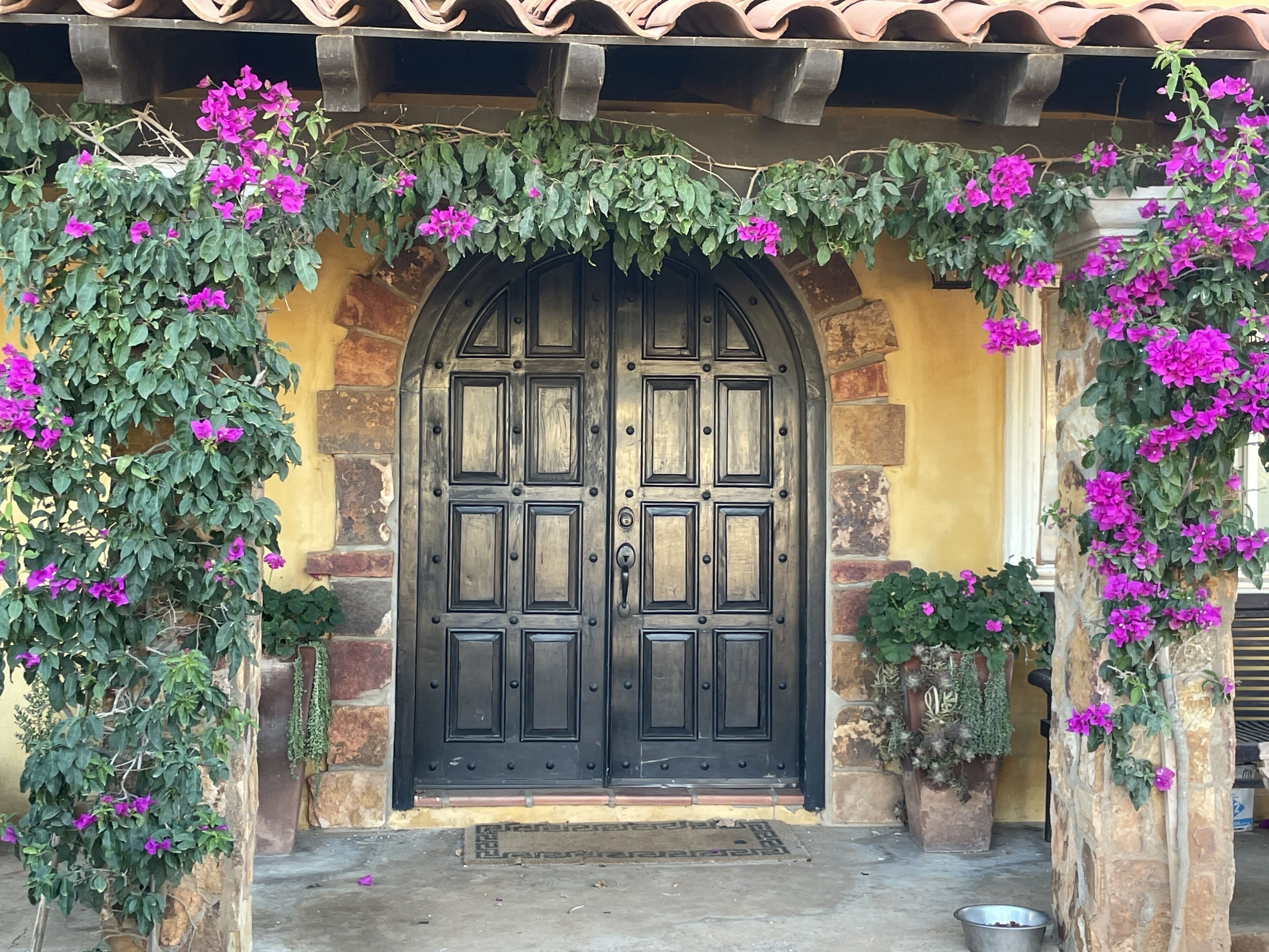 Detalle del exterior