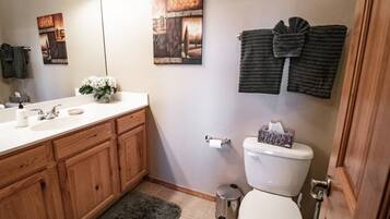 Combined shower/tub, hair dryer, towels