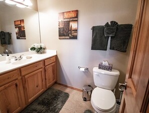 Combined shower/bathtub, hair dryer, towels