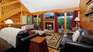 Télévision, cheminée, lecteur de DVD