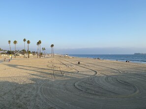 A wide sandy beach with palm trees, a lifeguard tower, and a clear blue sky.