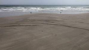 En strand med fotspår som leder ner mot vattnet, en klar himmel och vågor som rullar in mot stranden.