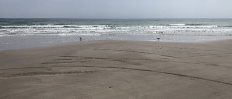 Beach | Sun loungers