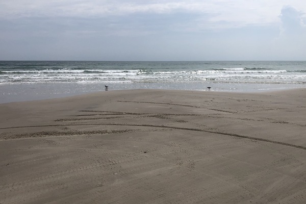 Playa
