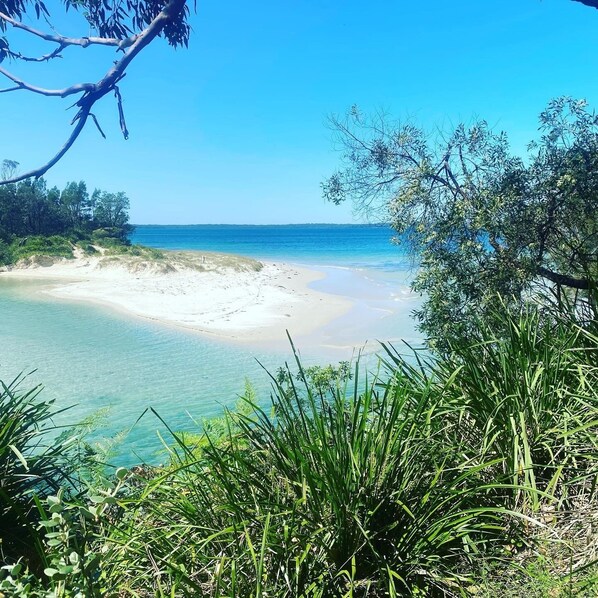 Enjoy a serene beach setting with turquoise waters and a sandy shoreline surrounded by lush greenery.