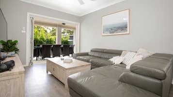 Smart TV, fireplace, books