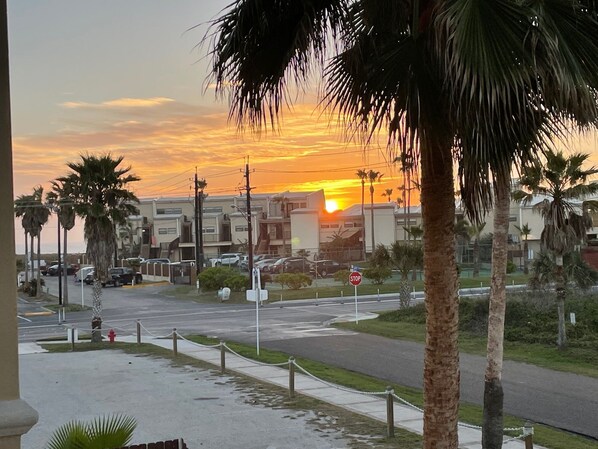 A sunset view with palm trees and a stop sign.