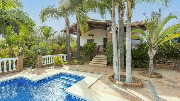 A swimming pool with a tiled deck, surrounded by palm trees and a brick wall.