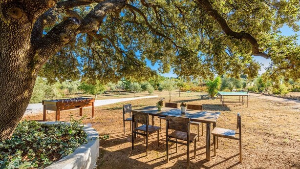Een terras buiten met een tafel en stoelen, omringd door bomen en een aarden grond.
