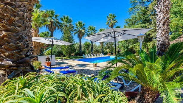 Un espace piscine agrémenté de chaises longues et de parasols, entouré de palmiers et d’autres plantes.