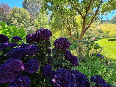 Aramatai Gardens BnB - immerse yourself in nature