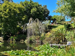 A serene garden with a pond, lush greenery, and a weeping willow tree. - Aramatai Gardens BnB - immerse yourself in nature (TE KUITI)