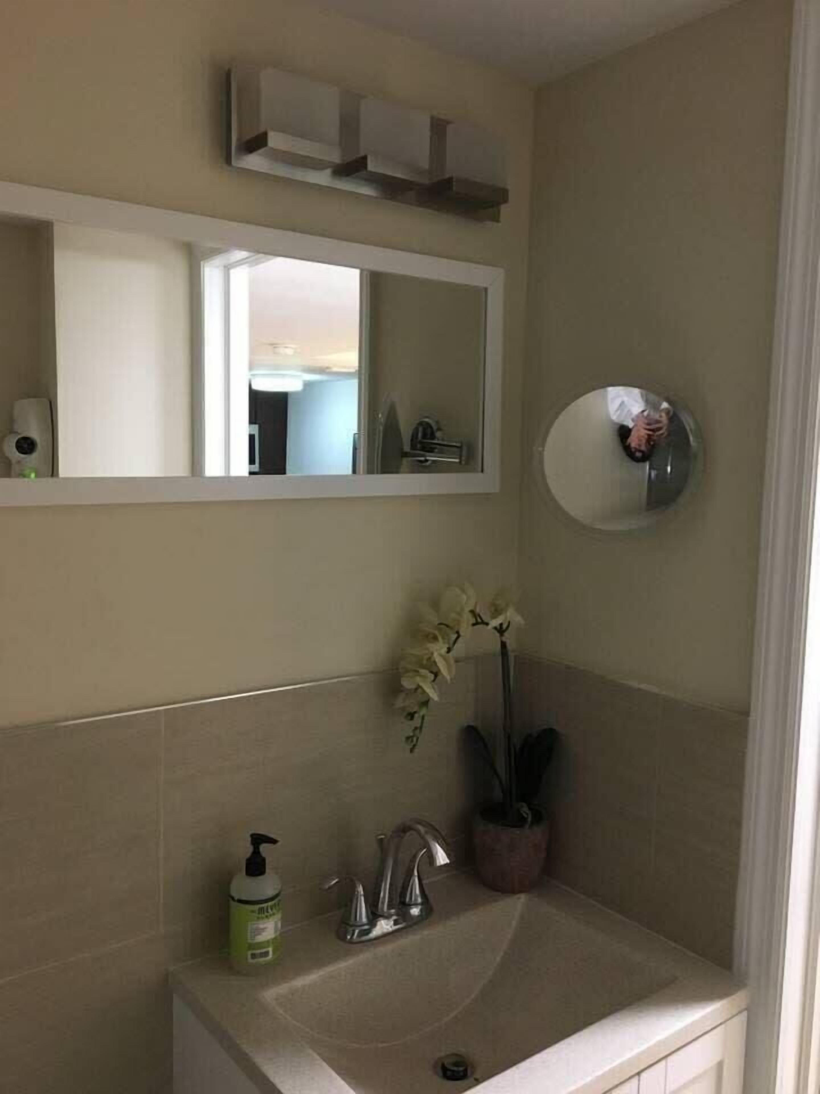 A bathroom with a sink, mirror, and a potted orchid.