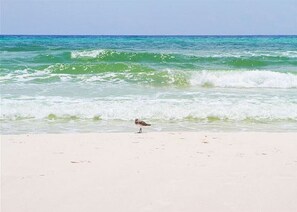 Guests can enjoy access to a wide, open beach.