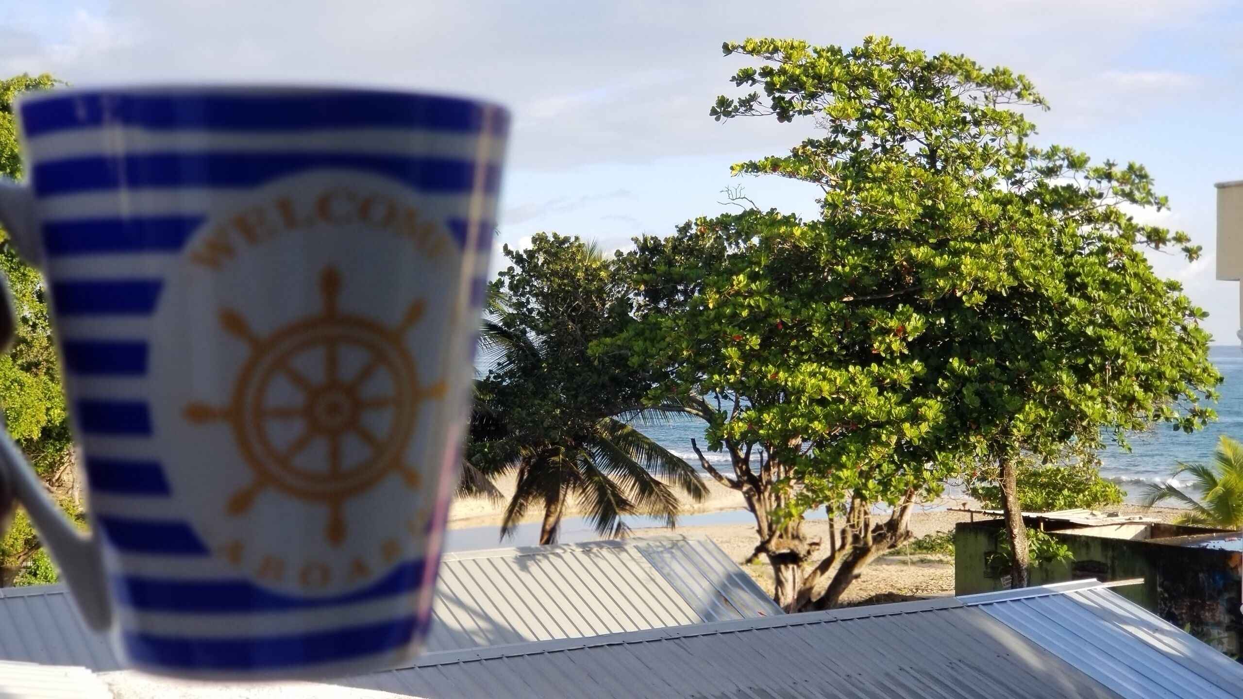 Una taza azul y blanca con un timón y la frase 'WELCOME HOME', un árbol, una playa con palmeras y un edificio al fondo.