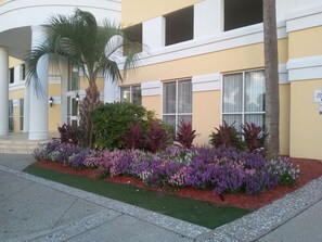 المنطقة المحيطة بالمنشأة