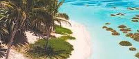 Plage