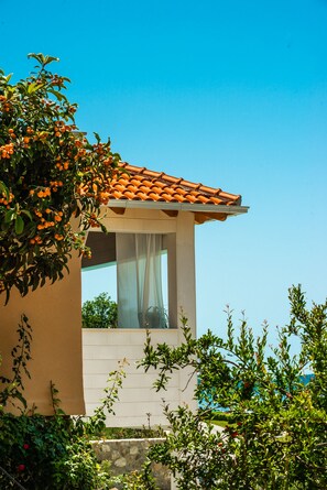 Área da propriedade