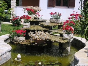 المنطقة المحيطة بالمنشأة