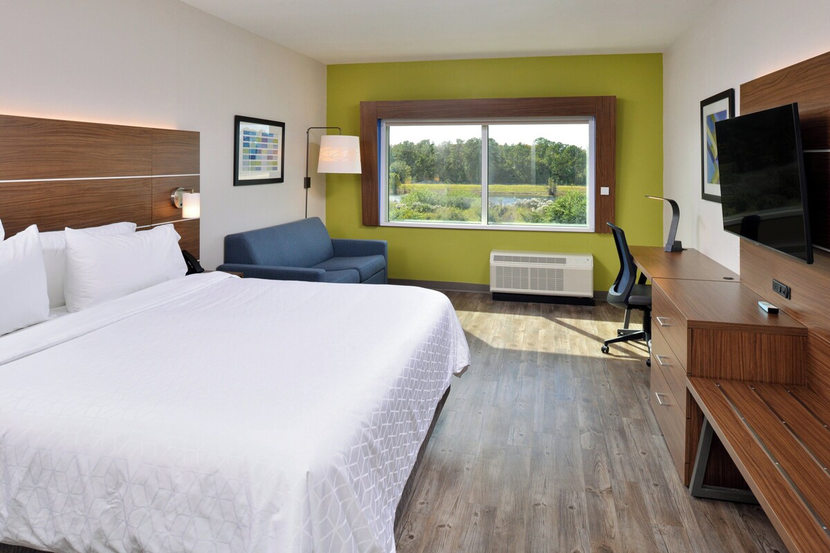 Habitación de hotel con una cama grande, un escritorio, una silla, un televisor y una ventana con vistas a zonas verdes.