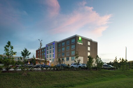 Holiday Inn Express Orlando South Park, an ihg hotel - Image 12