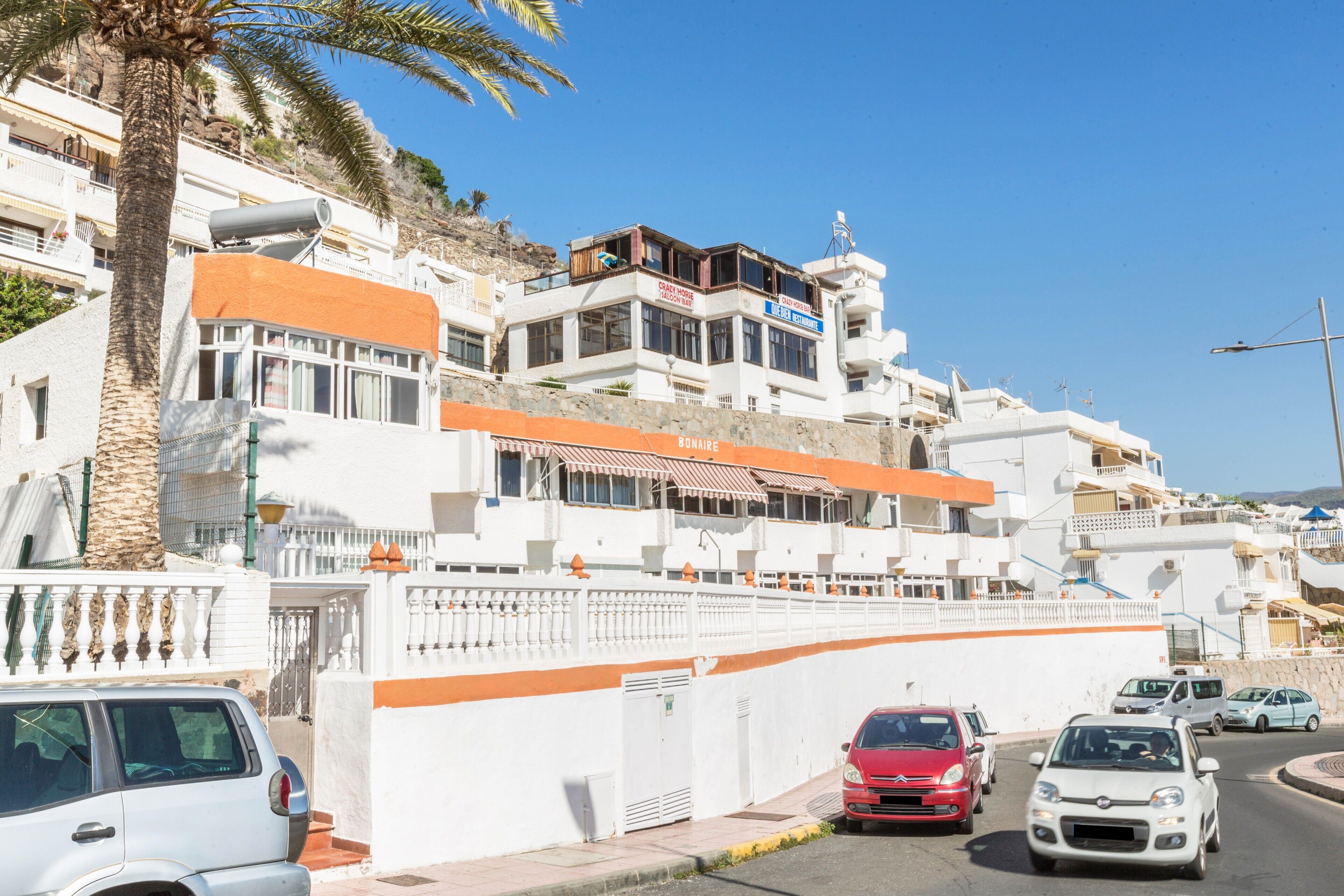 Un hôtel en bord de mer doté de balcons, d’une façade blanche et d’un palmier.