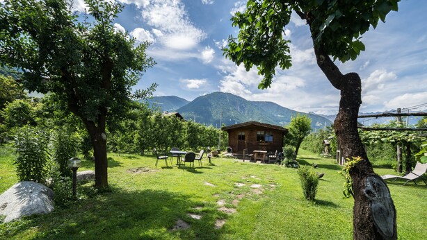 Un rustico chalet con vista chiara sulle montagne, immerso nel verde e circondato da un prato curato.