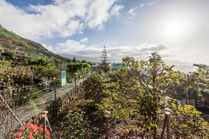 Un jardín con diversas plantas y un sendero.
