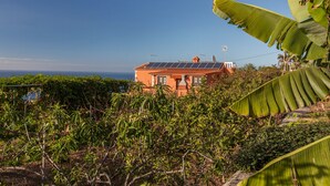 Uma casa com painéis solares, cercada por vegetação densa e um céu claro.