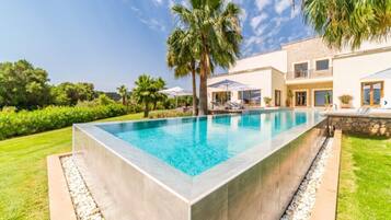 A rectangular swimming pool with a stone border, surrounded by a well-maintained lawn and palm trees.