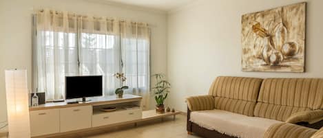 Una sala de estar con sofá, televisor y objetos decorativos.